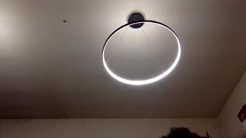 Snapshot of carlos037tm chatting on 02.08.25 Carlos online show from 02.08.25