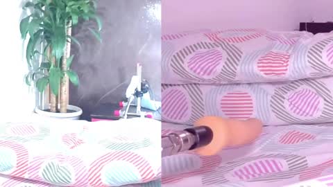 Carol online show from 04.10.26