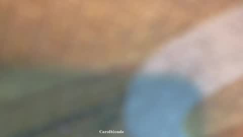 Char online show from 04.20.26