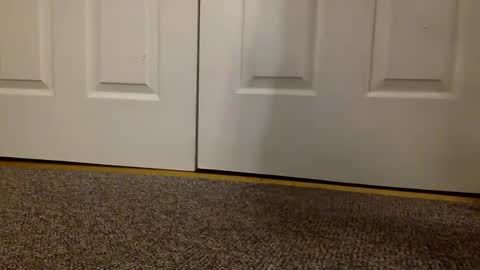 cash13bychanel online show from 03.06.25