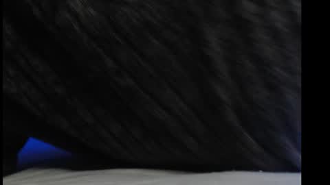 Snapshot of casidy1 chatting on 03.06.25 casidy1 online show from 03.06.25