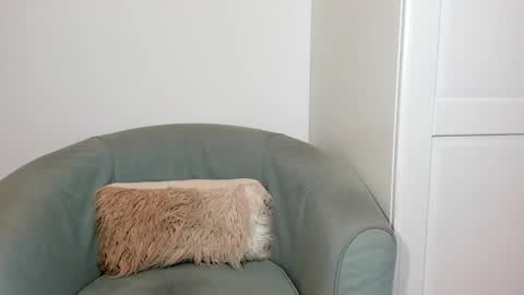 cassiecute - onlyfans account online show from 03.26.26