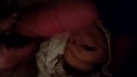 Snapshot of catdaddy179057 chatting on 02.24.26 catdaddy179057 online show from 02.24.26