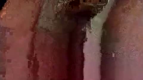 catdaddy179057 online show from 03.12.26