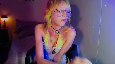 Cat online show from 09.11.25