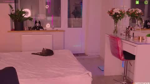 Snapshot of catromance chatting on 11.21.25 Katerina online show from 11.21.25