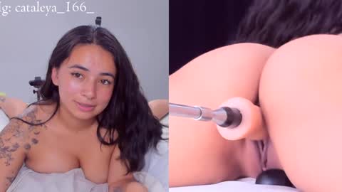 Cattleya Annie  online show from 12.31.24