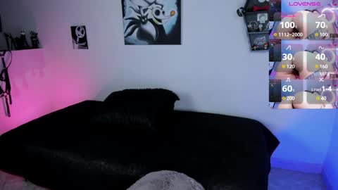 CattNamy online show from 04.03.26