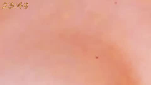    online show from 01.25.25