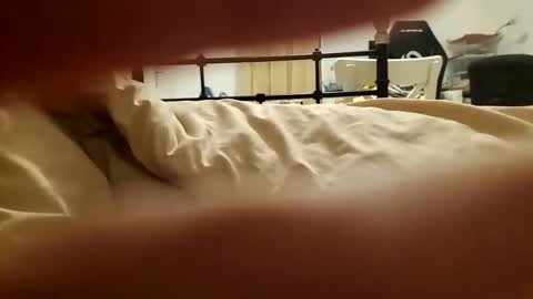 ced14 online show from 09.30.25