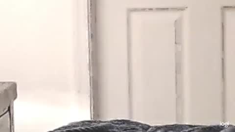 cfnmkinky28 online show from 12.24.24