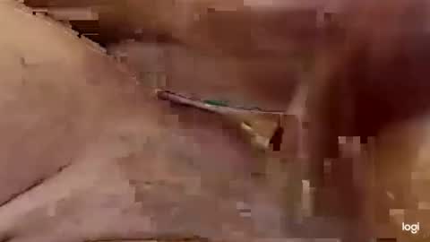 cfnmkinky28 online show from 01.01.25