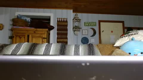 Snapshot of cguffey2284 chatting on 12.29.24 cguffey2284 online show from 12.29.24