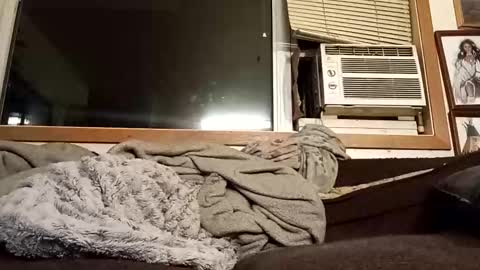 Snapshot of chad1980420 chatting on 02.04.26 Chad420247 online show from 02.04.26