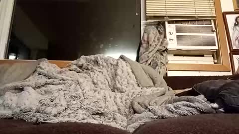 Snapshot of chad1980420 chatting on 02.11.26 Chad420247 online show from 02.11.26