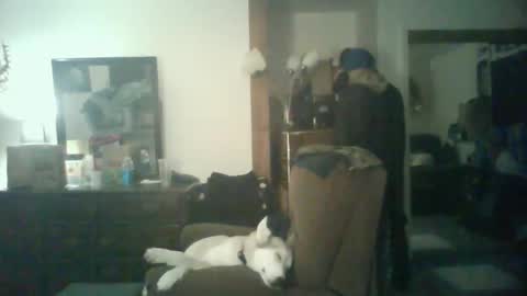 Snapshot of chad_the_blatalian chatting on 10.29.25 GigaChad online show from 10.29.25