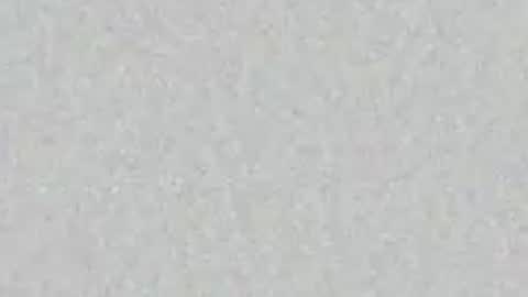 Snapshot of chaddydaddy99 chatting on 04.06.26 oilmeup online show from 04.06.26