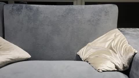 Stern online show from 04.08.26