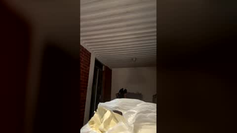    online show from 01.18.26