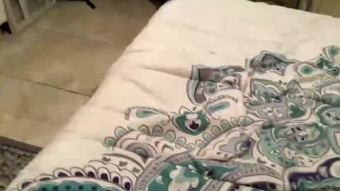 charliebroun online show from 02.18.25