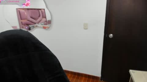 Snapshot of charlote_horny chatting on 01.28.25 Charlote online show from 01.28.25