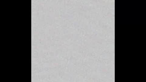 Charlotte online show from 02.13.25