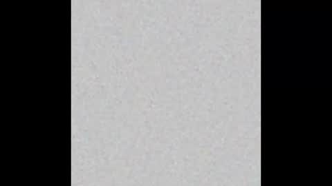 Charlotte online show from 02.14.25