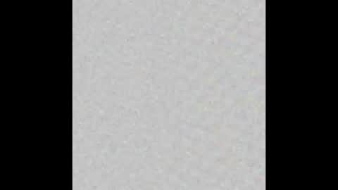 Charlotte online show from 10.08.25