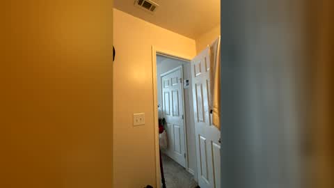 Chase2Attract online show from 03.04.26