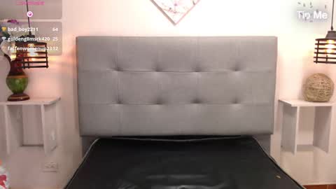 Snapshot of cheelsea_ chatting on 12.29.24 cheelsea_ online show from 12.29.24