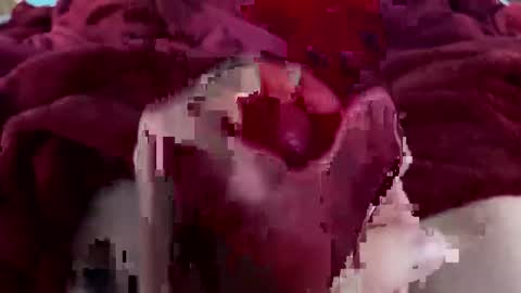 cheeseisnts online show from 01.09.26