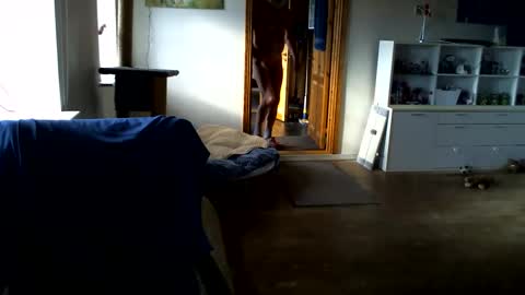 chefben666 online show from 02.14.26