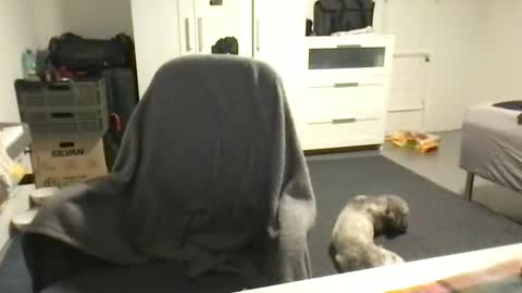 cheftoti online show from 02.16.25