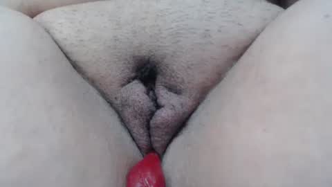 Cheila online show from 01.10.26