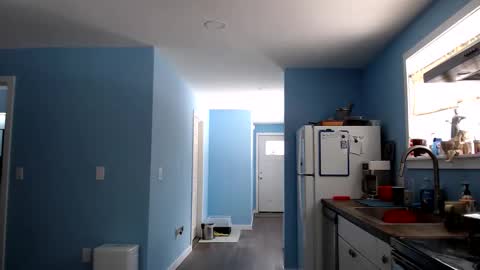 Chelsea online show from 03.24.26