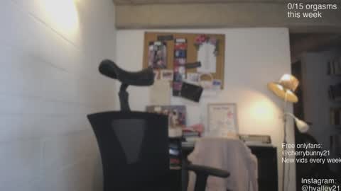 Snapshot of cherrybunny21 chatting on 04.28.26 Sarah Prez online show from 04.28.26