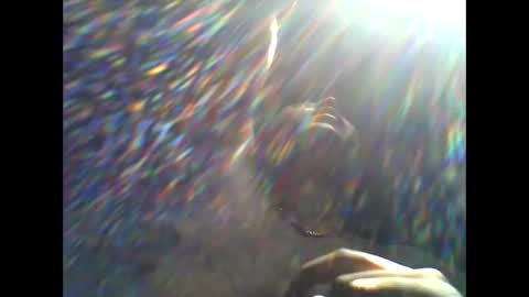 CHINO online show from 04.11.26