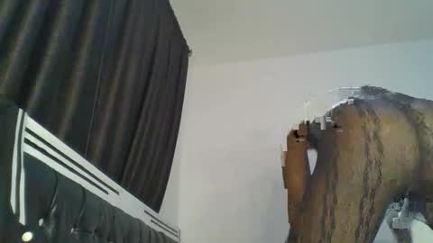 chocobear22 online show from 11.16.25