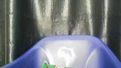 chocoslut22 online show from 12.14.25