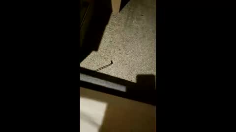 chrisgogo121 online show from 11.17.25