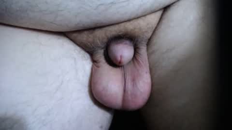 chubbl online show from 01.11.26