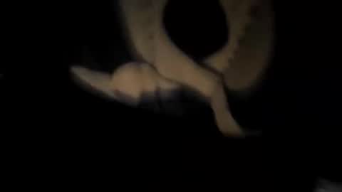 chuck7891 online show from 11.30.25