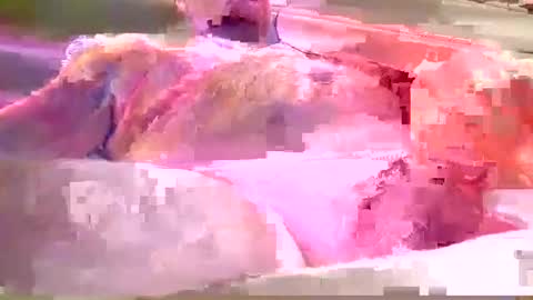 Snapshot of chummy50222 chatting on 12.08.24 chummy50222 online show from 12.08.24