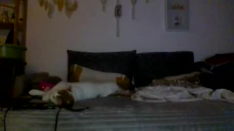 Snapshot of ciasnsyrize1996 chatting on 03.04.25 ciasnsyrize1996 online show from 03.04.25