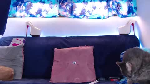 cicimom online show from 02.05.25