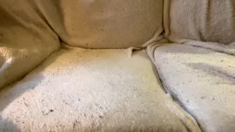 join the circle online show from 12.17.24