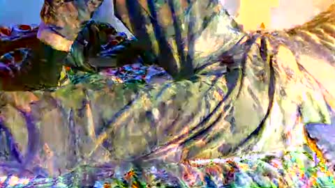 dan online show from 03.05.25