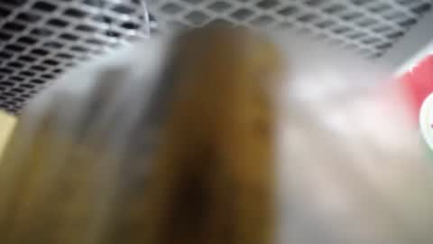 487699 online show from 11.27.25