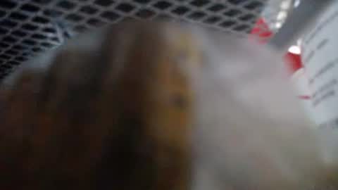 487699 online show from 01.14.26