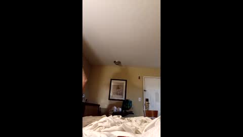 claytonbrannon3717547 online show from 12.17.25